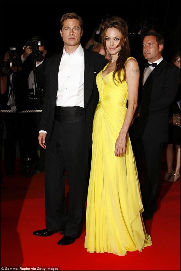 Angelina Jolie va Brad Pitt se dai chien vi cac con-Hinh-2